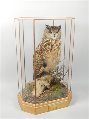 Lot 325 A taxidermied male eagle owl by Mike Gadd of Boston Spa
