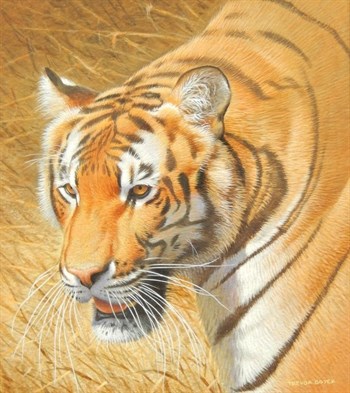 Thumbnail _lot 385 Trevor Boyer (born 1948). Bengal tiger